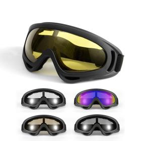 Riding goggles